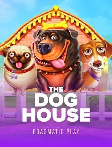 The Dog House by Pragmatic Play, 96.5% RTP, at Kachingo Casino